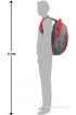 Wildcraft Ace 21 L Laptop Backpack(Red, Size - 18)